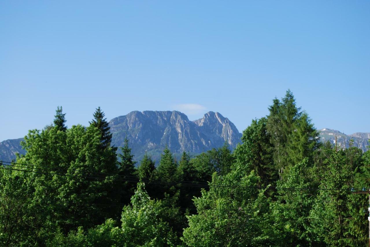 Willa Pod Bandera Zakopane Extérieur photo